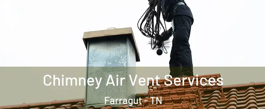  Chimney Air Vent Services Farragut - TN