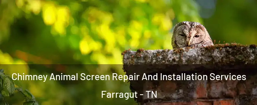  Chimney Animal Screen Repair And Installation Services Farragut - TN