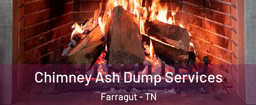  Chimney Ash Dump Services Farragut - TN
