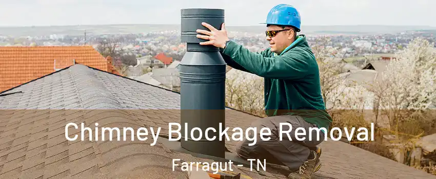  Chimney Blockage Removal Farragut - TN
