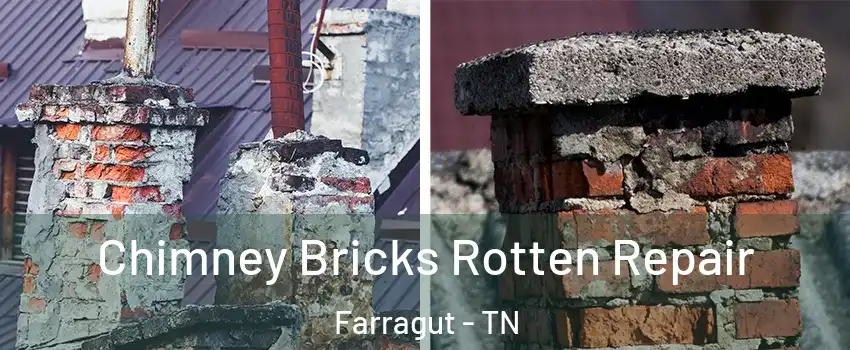  Chimney Bricks Rotten Repair Farragut - TN
