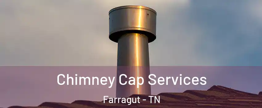  Chimney Cap Services Farragut - TN