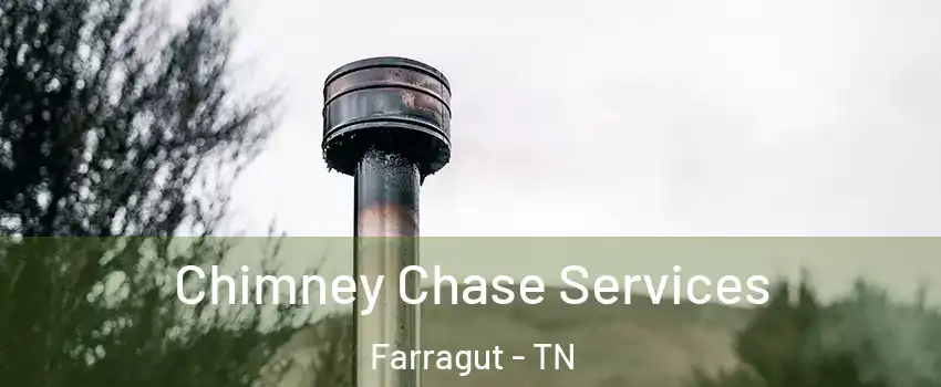  Chimney Chase Services Farragut - TN