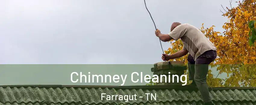  Chimney Cleaning Farragut - TN