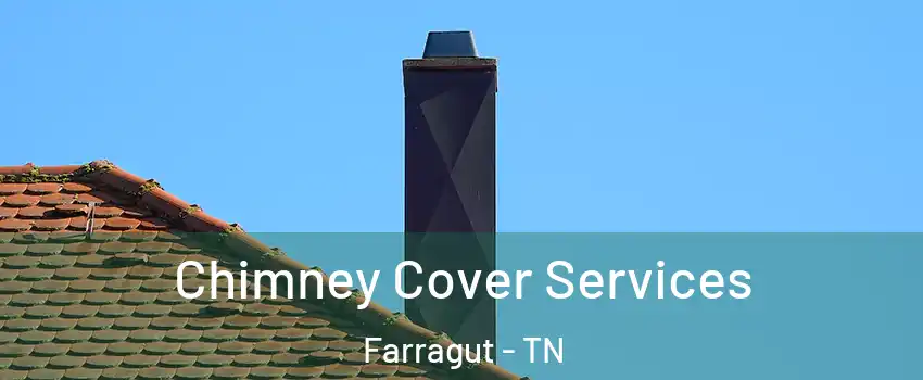  Chimney Cover Services Farragut - TN