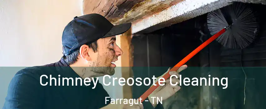  Chimney Creosote Cleaning Farragut - TN