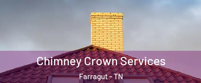  Chimney Crown Services Farragut - TN