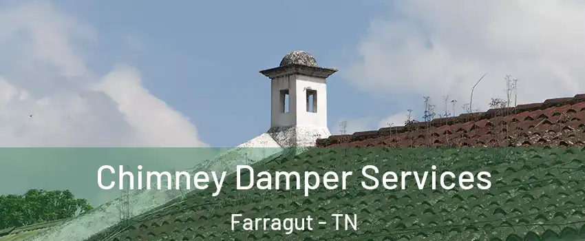 Chimney Damper Services Farragut - TN