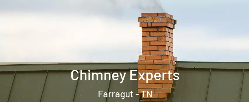  Chimney Experts Farragut - TN
