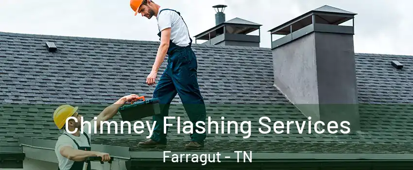 Chimney Flashing Services Farragut - TN