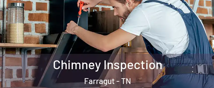  Chimney Inspection Farragut - TN