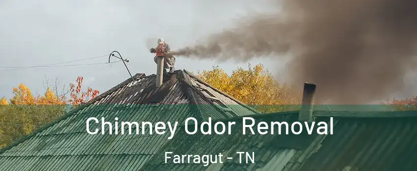  Chimney Odor Removal Farragut - TN