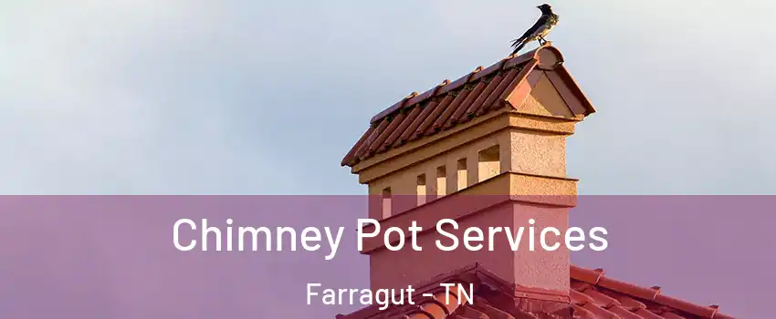  Chimney Pot Services Farragut - TN