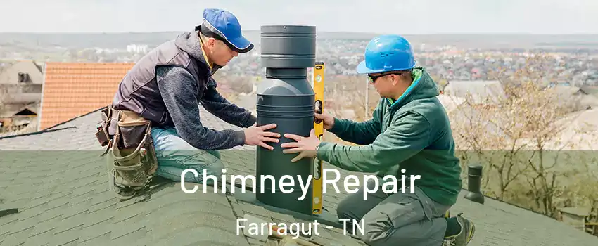  Chimney Repair Farragut - TN