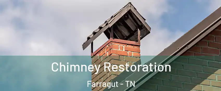  Chimney Restoration Farragut - TN