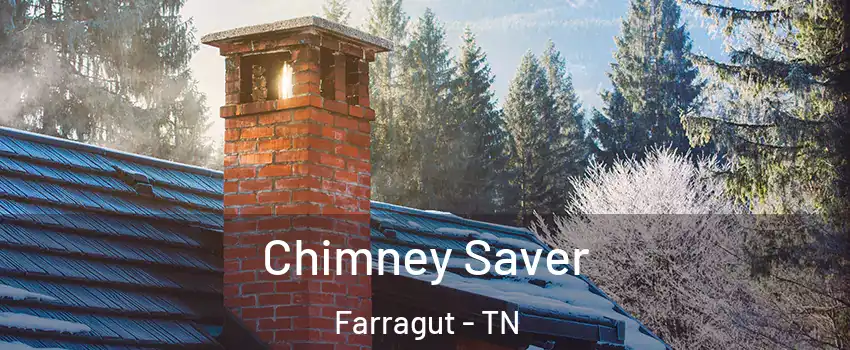  Chimney Saver Farragut - TN