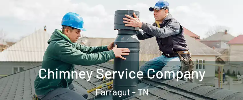  Chimney Service Company Farragut - TN