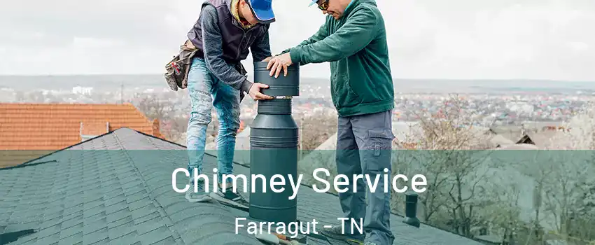  Chimney Service Farragut - TN