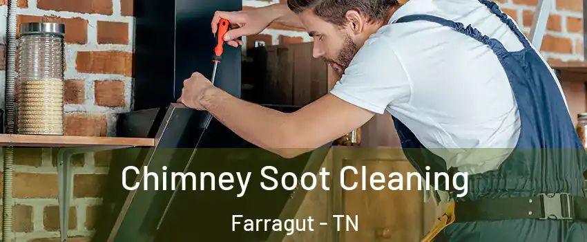  Chimney Soot Cleaning Farragut - TN