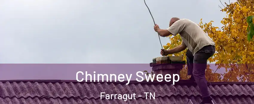  Chimney Sweep Farragut - TN