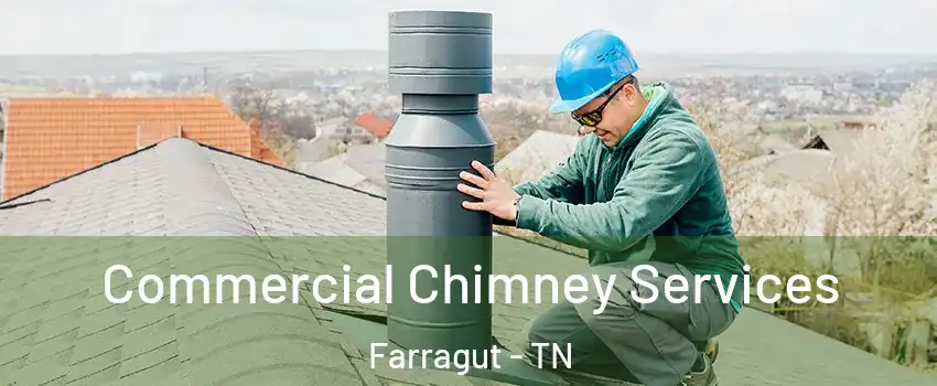  Commercial Chimney Services Farragut - TN