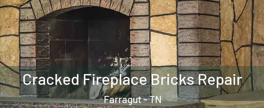  Cracked Fireplace Bricks Repair Farragut - TN