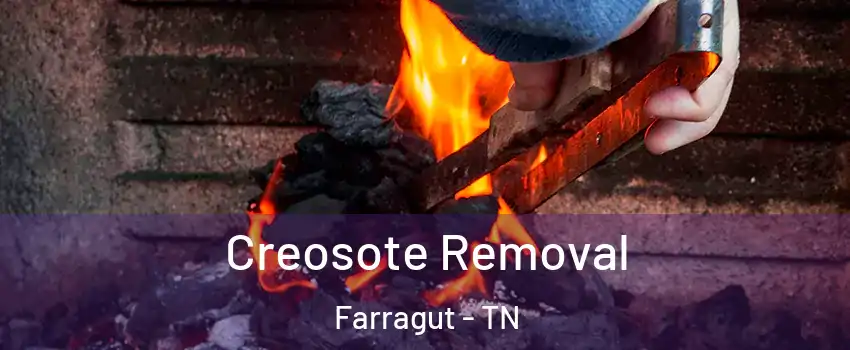  Creosote Removal Farragut - TN