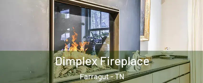  Dimplex Fireplace Farragut - TN