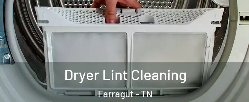  Dryer Lint Cleaning Farragut - TN