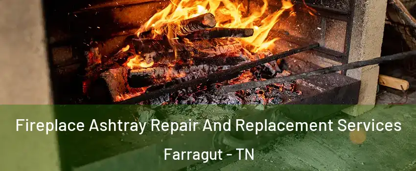  Fireplace Ashtray Repair And Replacement Services Farragut - TN