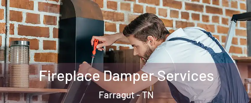  Fireplace Damper Services Farragut - TN