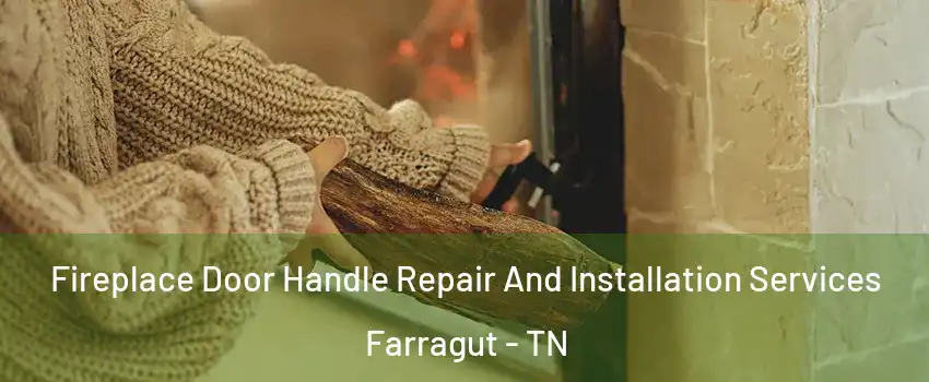  Fireplace Door Handle Repair And Installation Services Farragut - TN