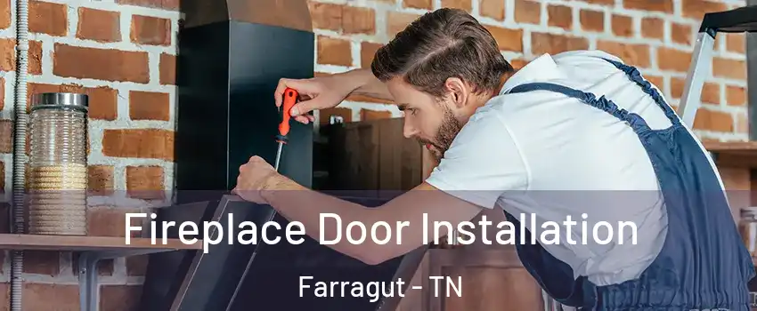  Fireplace Door Installation Farragut - TN