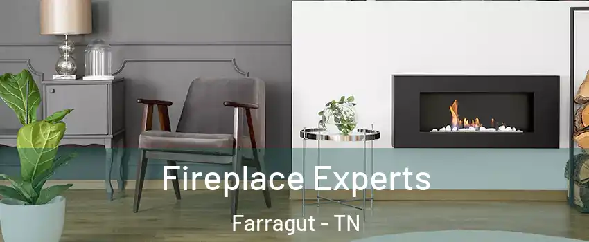  Fireplace Experts Farragut - TN