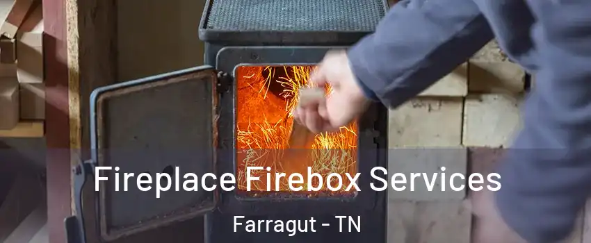  Fireplace Firebox Services Farragut - TN