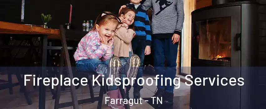  Fireplace Kidsproofing Services Farragut - TN