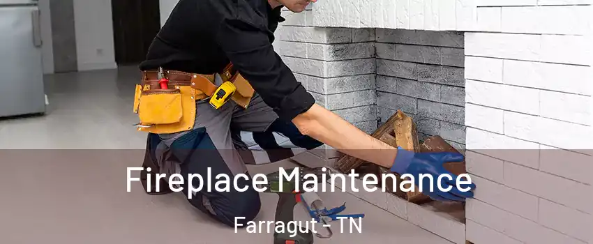  Fireplace Maintenance Farragut - TN