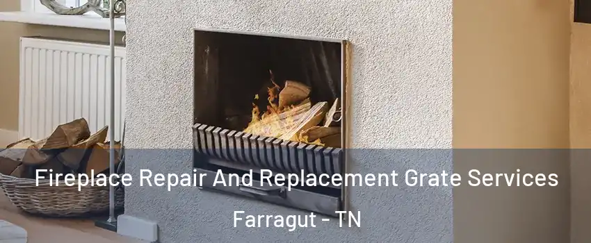  Fireplace Repair And Replacement Grate Services Farragut - TN