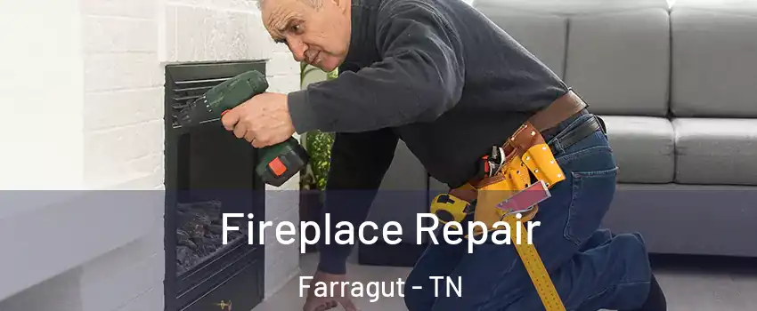  Fireplace Repair Farragut - TN