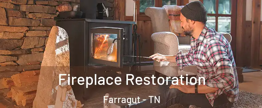  Fireplace Restoration Farragut - TN