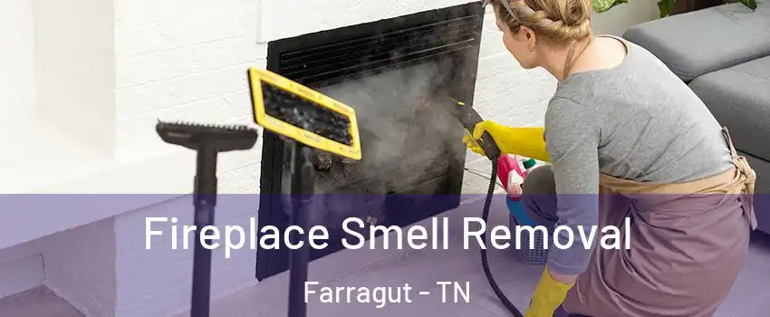  Fireplace Smell Removal Farragut - TN