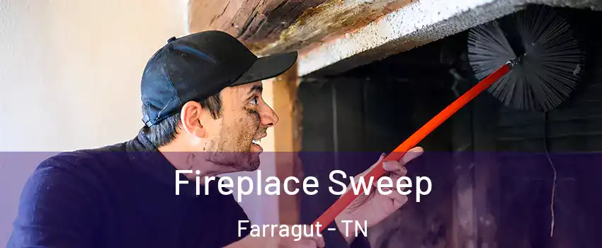 Fireplace Sweep Farragut - TN