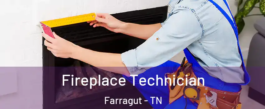 Fireplace Technician Farragut - TN