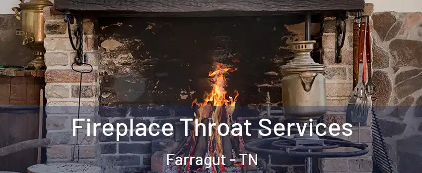  Fireplace Throat Services Farragut - TN