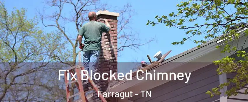  Fix Blocked Chimney Farragut - TN