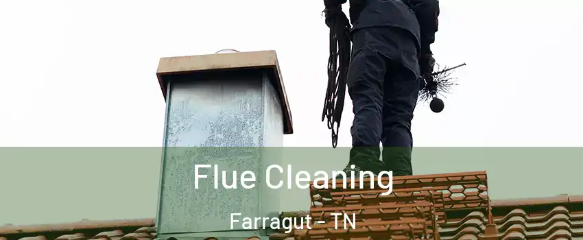  Flue Cleaning Farragut - TN