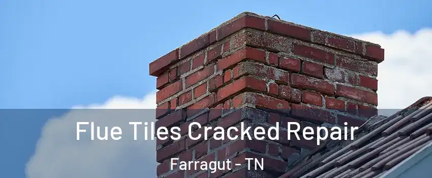  Flue Tiles Cracked Repair Farragut - TN