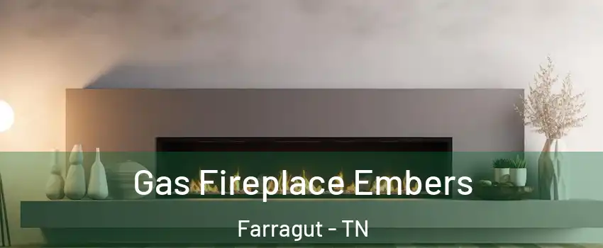  Gas Fireplace Embers Farragut - TN