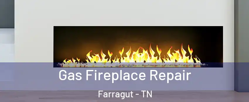  Gas Fireplace Repair Farragut - TN