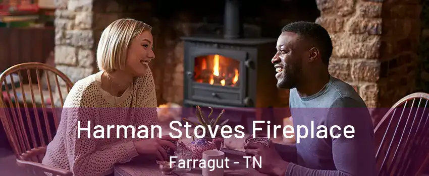  Harman Stoves Fireplace Farragut - TN
